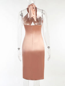 Backless Slit Dress