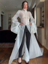 Load image into Gallery viewer, Sheer Maxi Dress