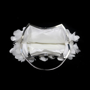 Evening Bag