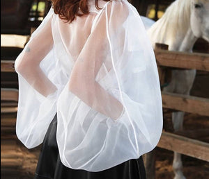 Puffy Sleeve Loose Fit Transparent Shirt