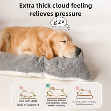 Load image into Gallery viewer, Sleeping Pad