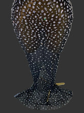 Load image into Gallery viewer, Luxury Rhinestones Sexy Transparent Mesh Maxi Long Dress