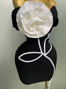 Black Mini Bodycon Bandage Dress