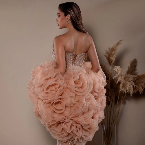 Luxury  Jacket Organza