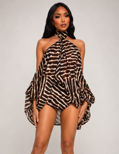 Load image into Gallery viewer, Savanna Luxe Zebra Halter Matching Set