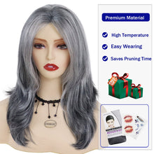 Load image into Gallery viewer, Synthetic Long Grey Wig
