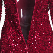 Load image into Gallery viewer, Long Sleeve Sequin Maxi Dress