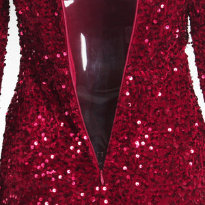 Long Sleeve Sequin Maxi Dress