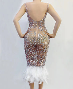 Crystals Pearls Sexy Transparent Feather Dress
