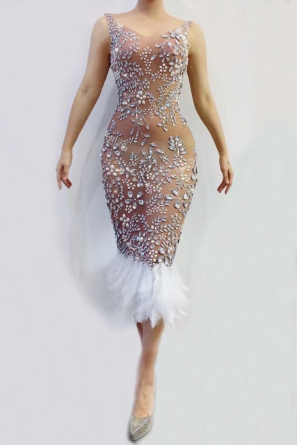 Crystals Pearls Sexy Transparent Feather Dress